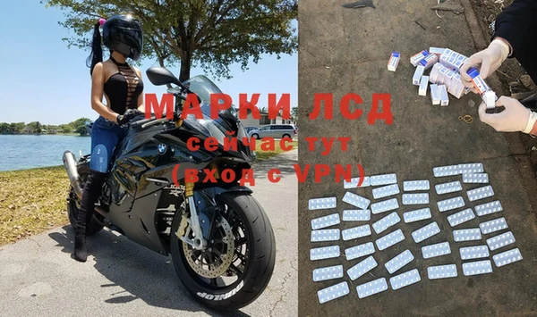 тгк Алзамай