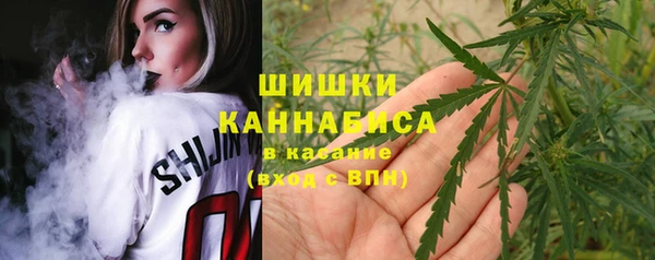 СК Кодинск