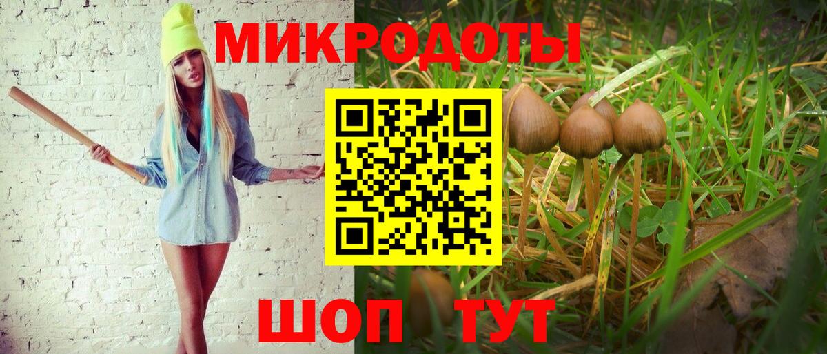 Псилоцибиновые грибы GOLDEN TEACHER Березники
